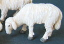 Schaf fressend 11cm