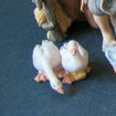 Gänsegruppe h: 3cm