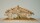 Stall Alpenland 20cm 125x55x55