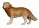 Rainell 9cm color - Hirtenhund