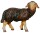 Rainell 9cm color - Schaf stehend rechtsschauend schwarz