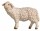 Rainell 11cm color - Schaf stehend linksschauend -261