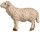 Rainell 11cm color - Schaf stehend vorw&auml;rtsschauend -260