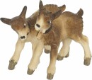 Rainell 11cm color - Zickleinpaar -191