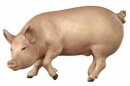 Kostner 9,5cm color - Schwein -105