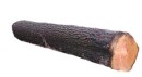 Kostner 12cm color - Baumstamm liegend -089