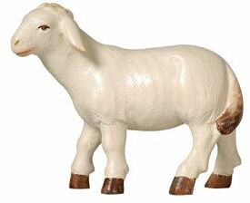 Pema 12cm wasserfarbe - Schaf stehend linkssch. -261