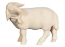 Pema 12cm natur - Schaf stehend Glocke linkssch. -265