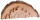WF - Holzbild Krippe konkav 14,5cm 4446 - AUSLAUFARIKEL!