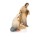 Licht 10cm color - Heilige Familie Set