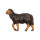 Rainell 11cm color - Schaf stehend linksschauend schwarz -261