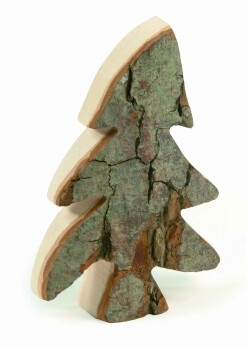 WF - Zierbaum 15cm 4385