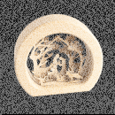 SD - Grotte Buche Krippe mit Wald 7cm natur