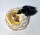 Vogel im Nest
