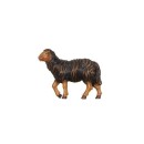 Kostner 9,5cm color - Schaf schwarz stehend Kopf hoch